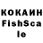 COCAIN Fish Scale Schwarz Kater