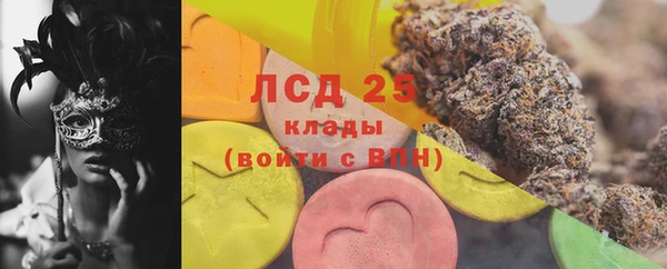 ПСИЛОЦИБИНОВЫЕ ГРИБЫ Алексин
