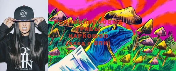 ПСИЛОЦИБИНОВЫЕ ГРИБЫ Алексин