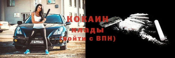 крисы Алзамай