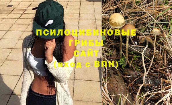 ПСИЛОЦИБИНОВЫЕ ГРИБЫ Алексин