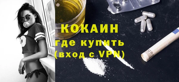 крисы Алзамай