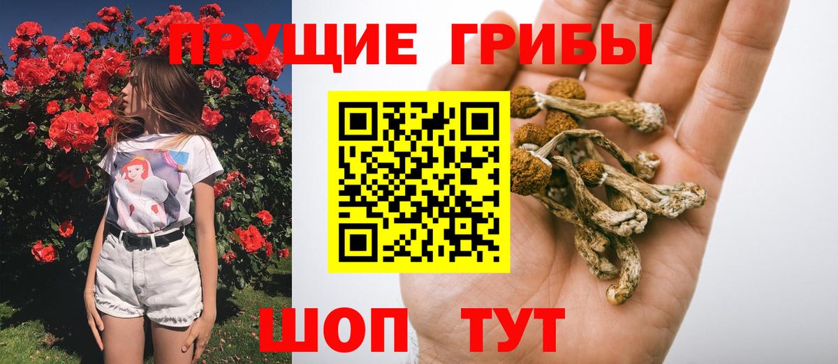 Апатиты  Галлюциногенные грибы Magic Shrooms  Вход с VPN 